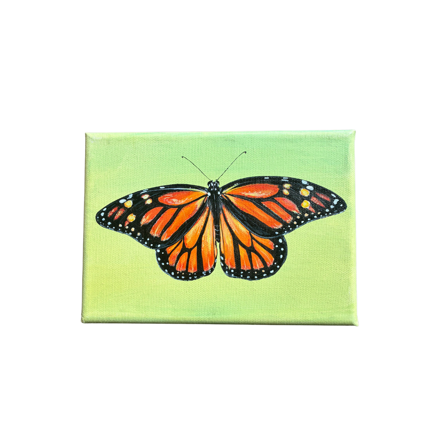 little butterfly painting