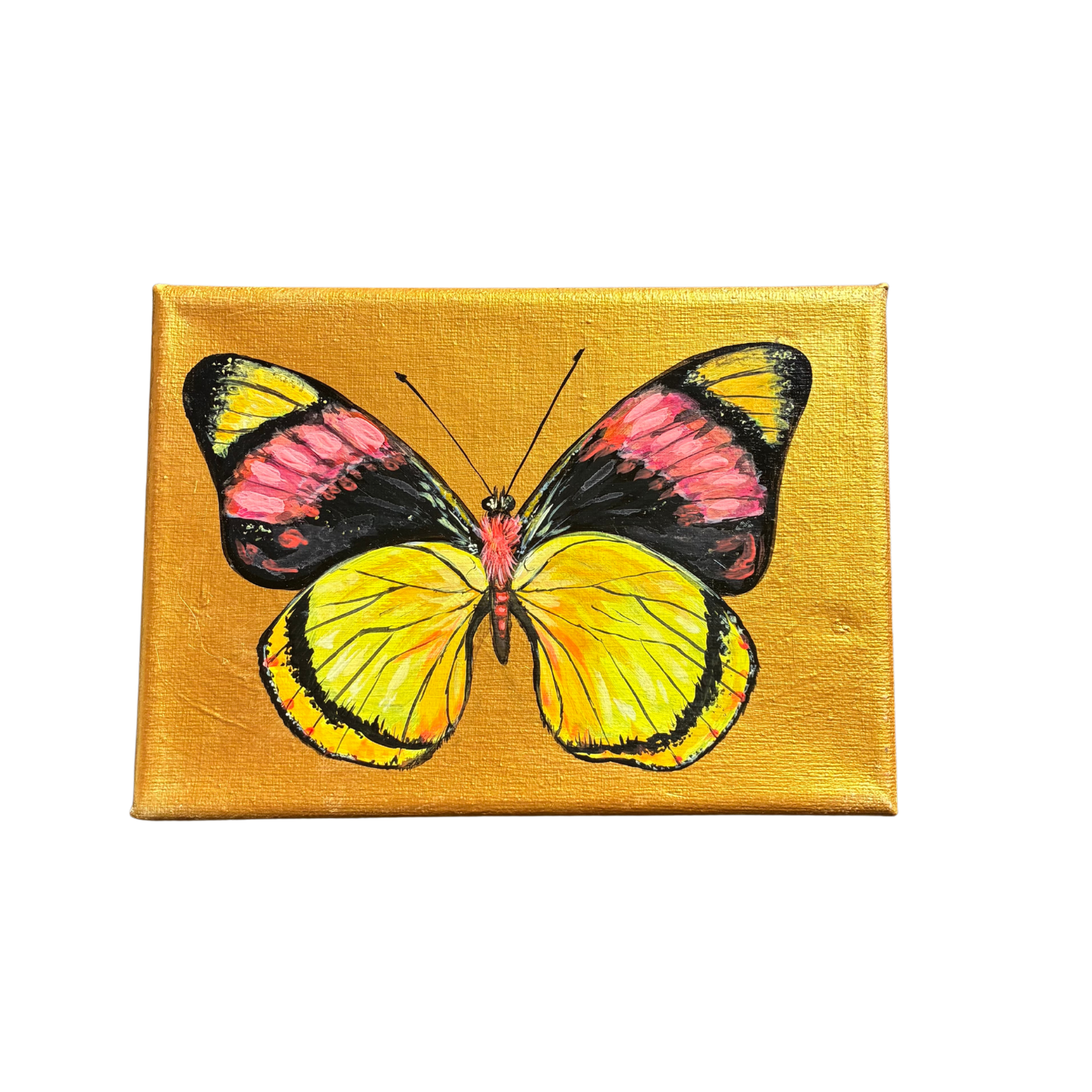 little butterfly painting