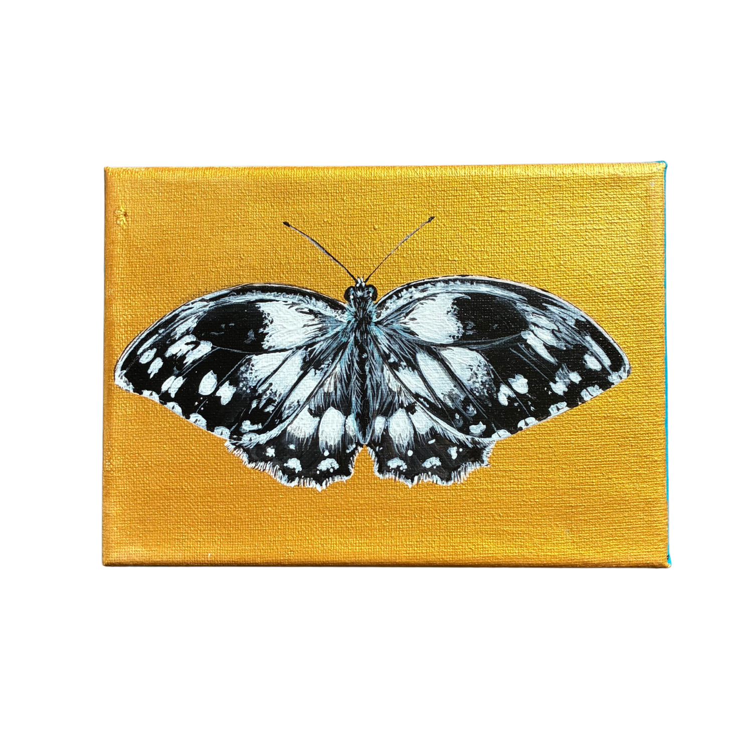 little butterfly painting