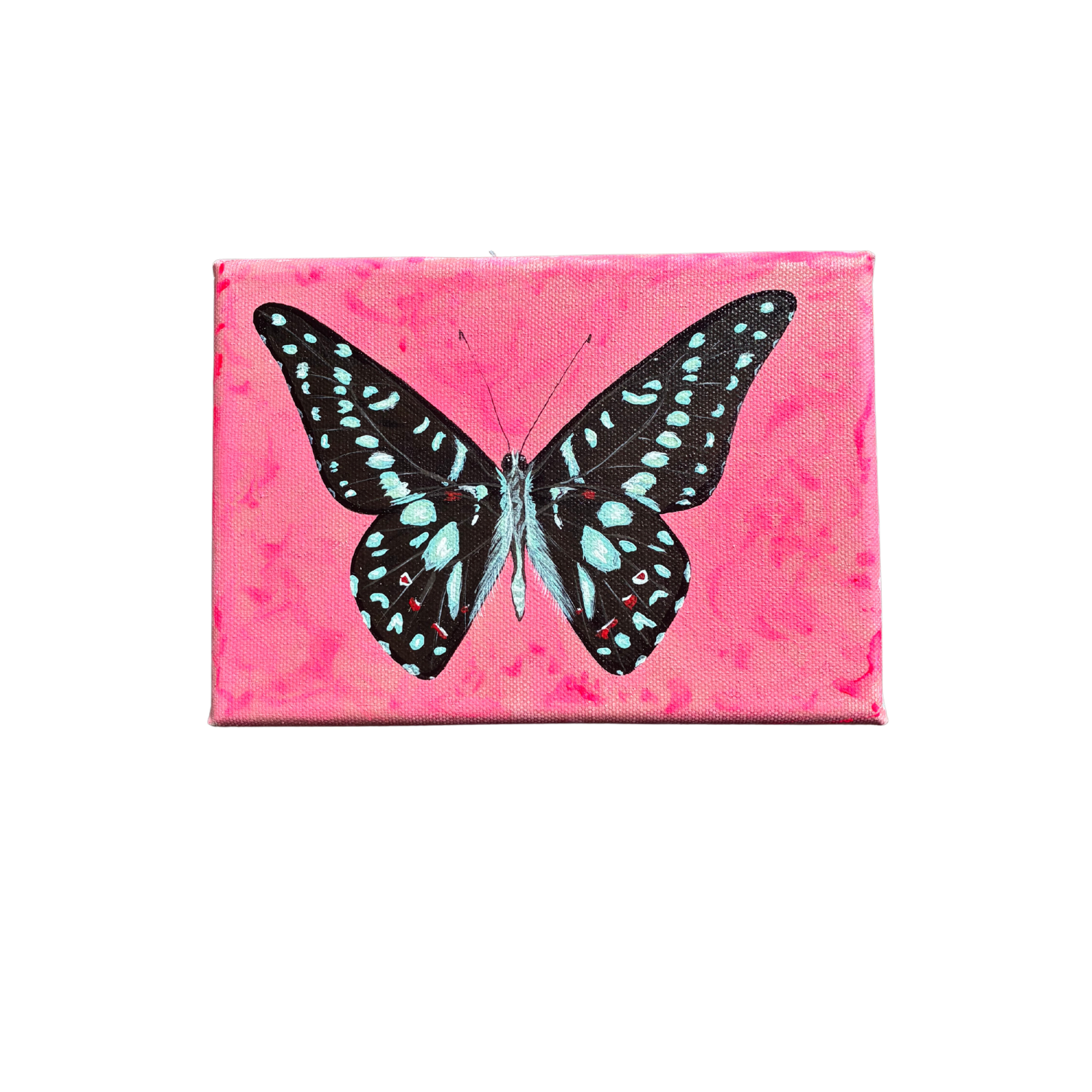 little butterfly painting