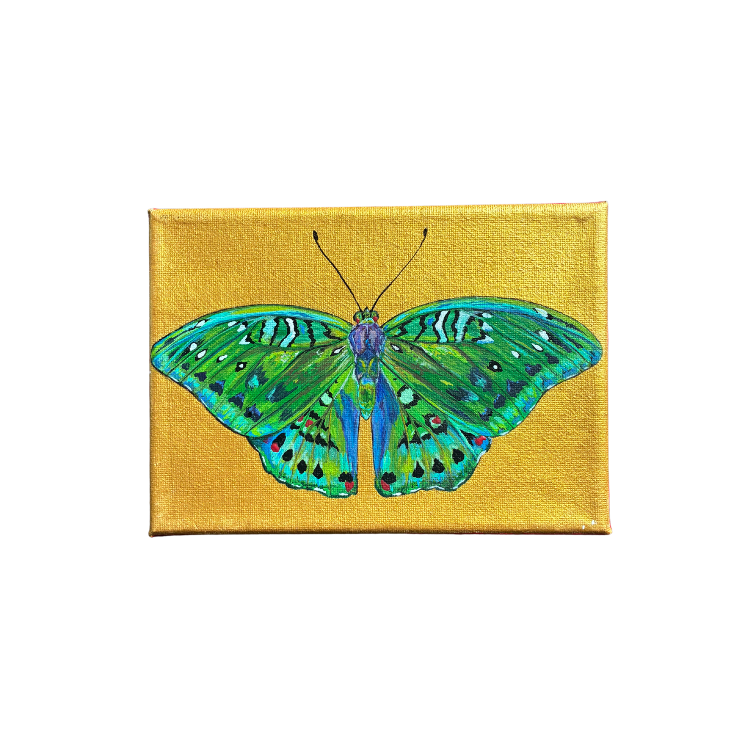 little butterfly painting