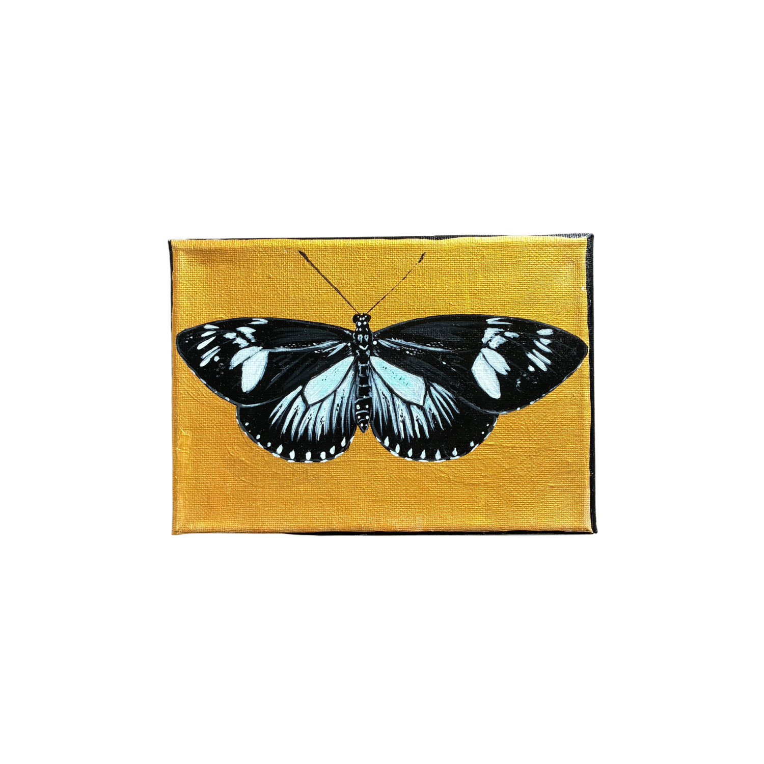 little butterfly painting