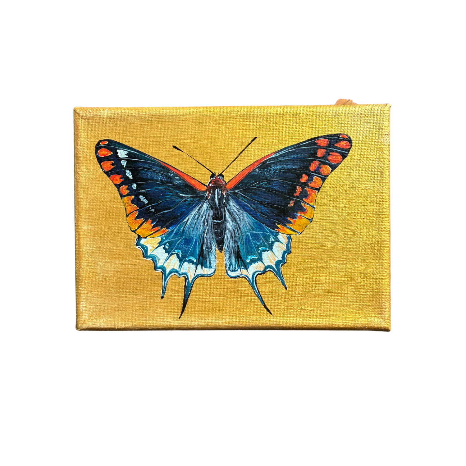little butterfly painting