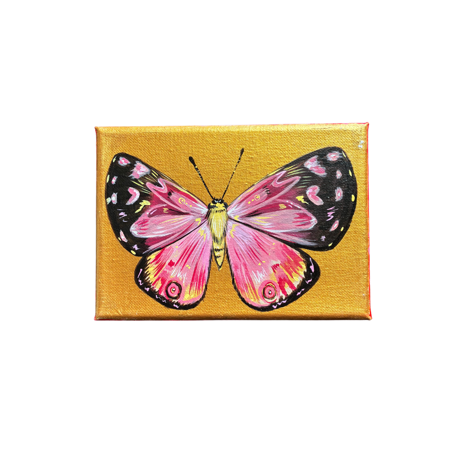 little butterfly painting