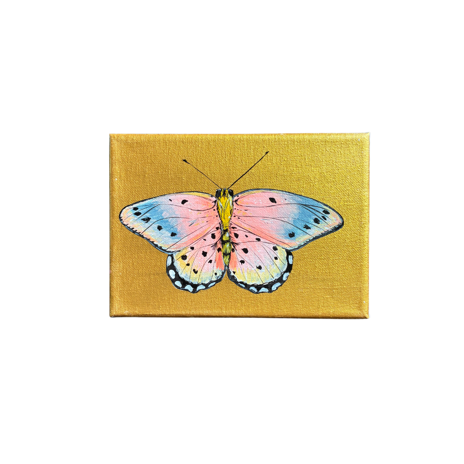 little butterfly painting