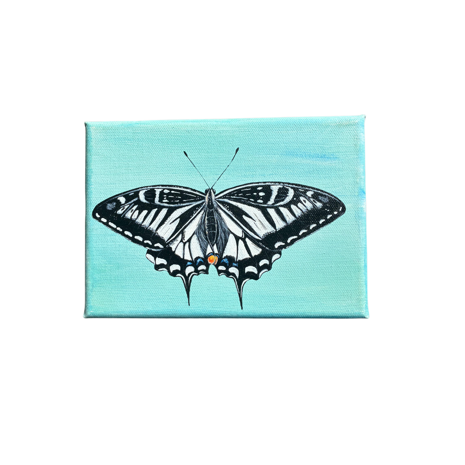 little butterfly painting
