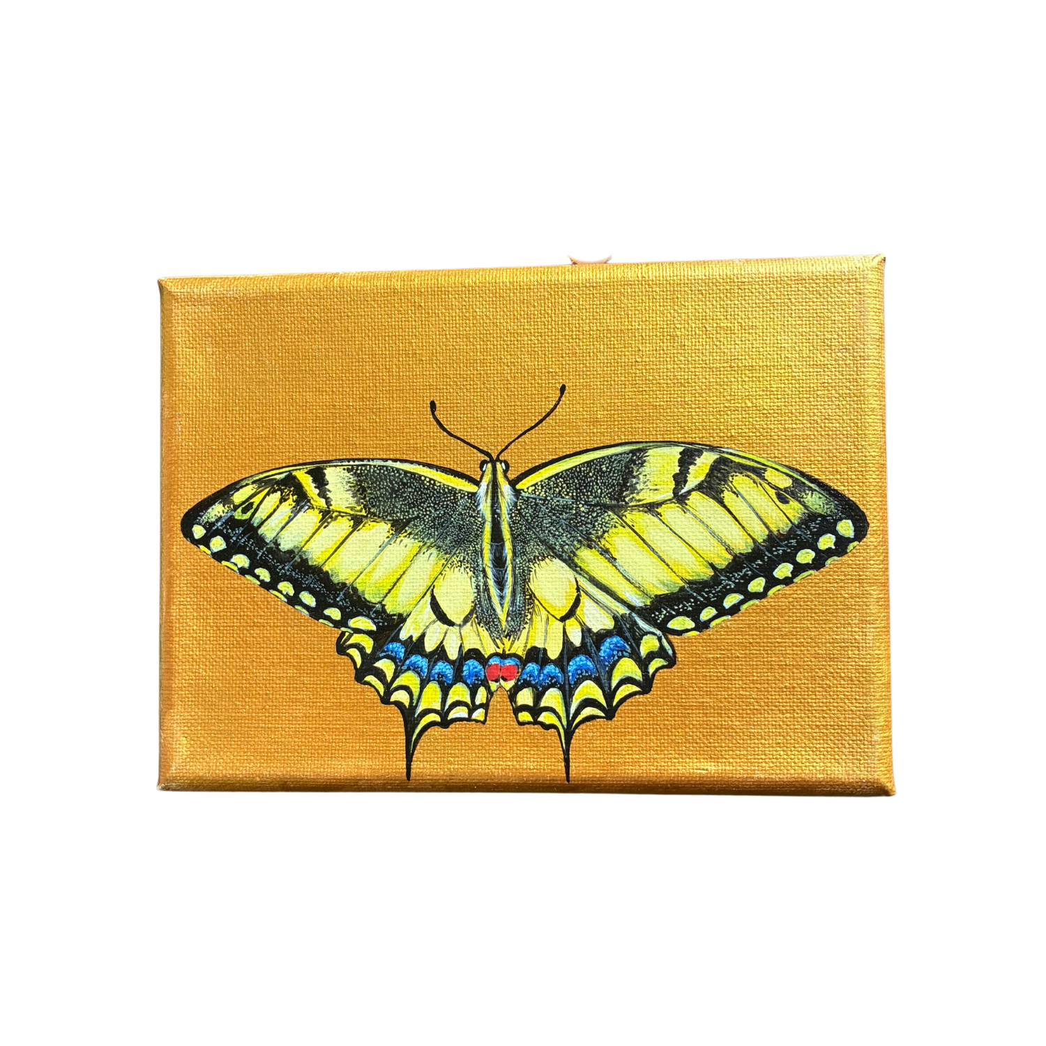 little butterfly painting