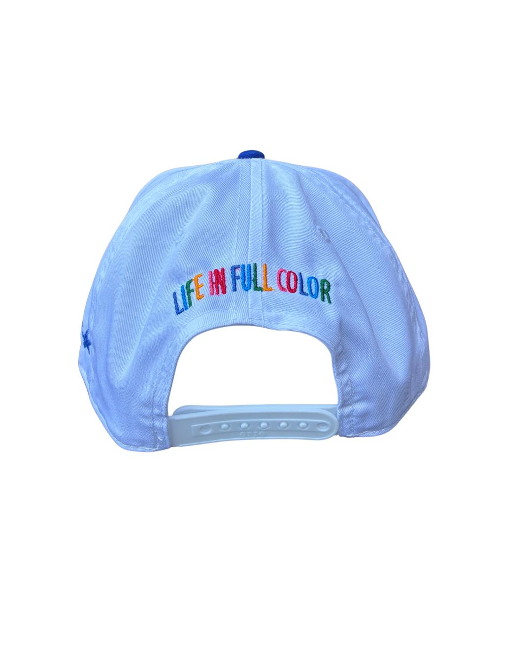 white and blue butterfly hat