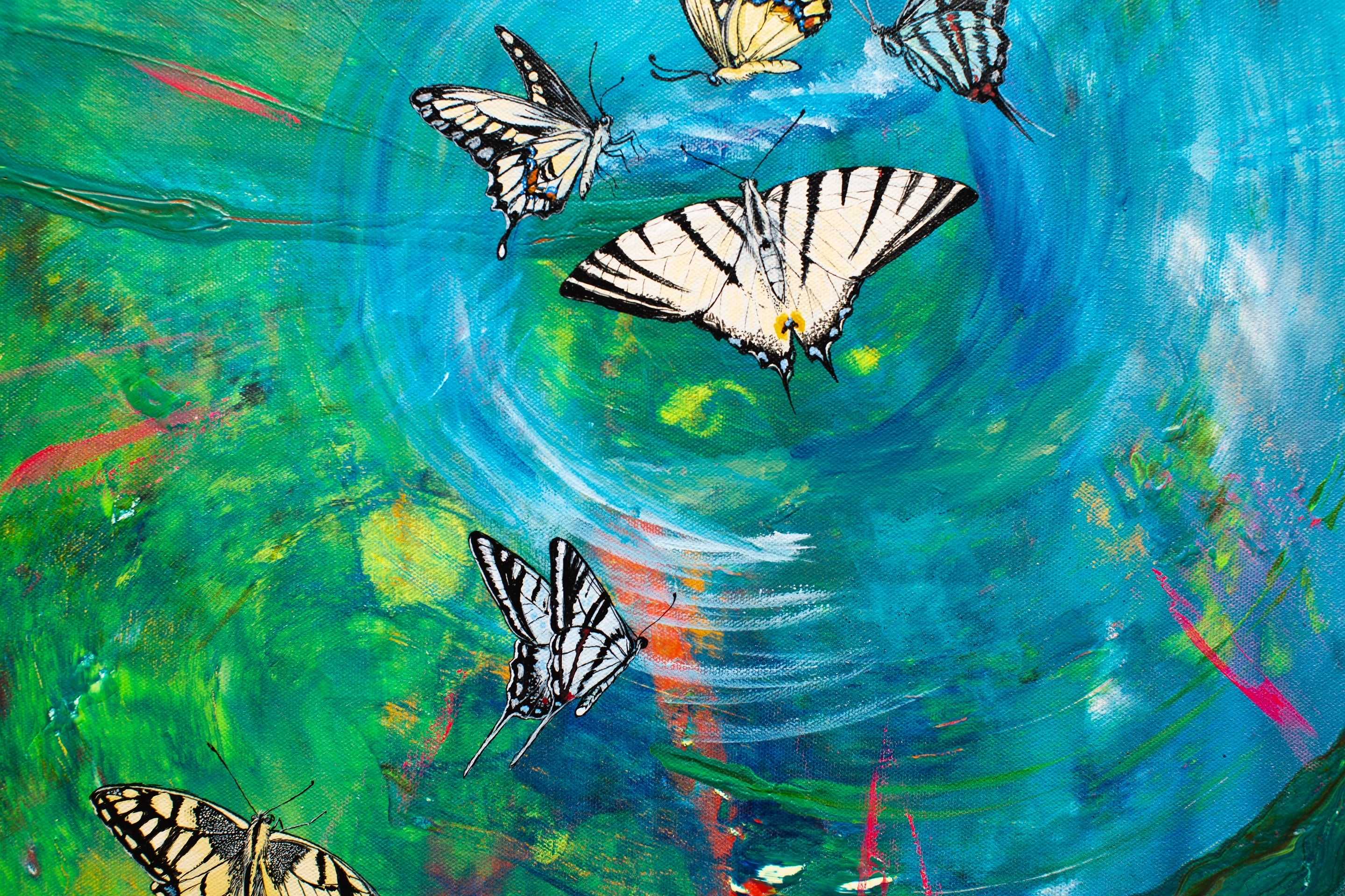 swimming swallowtails