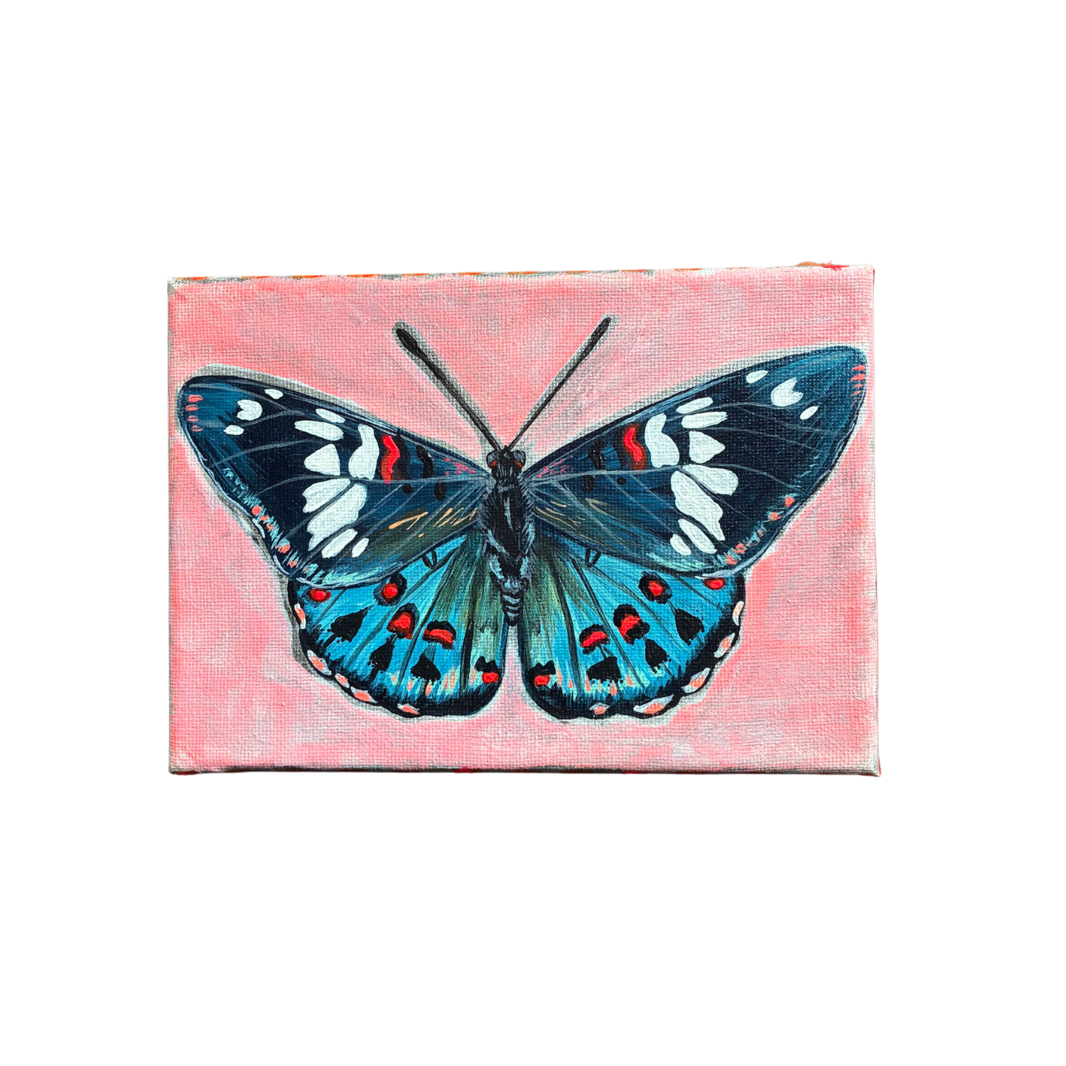 little butterfly painting