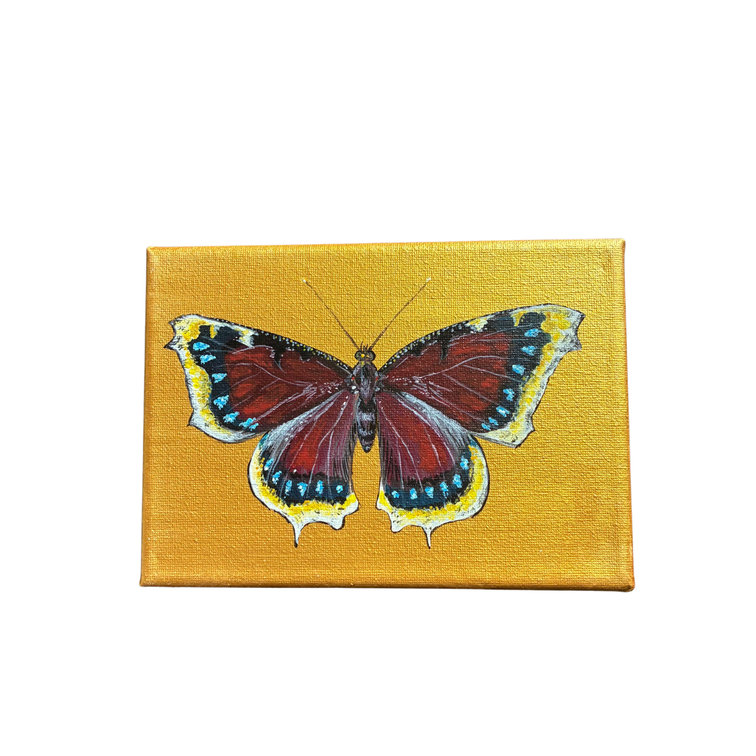 little butterfly painting